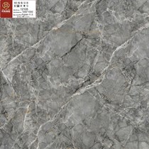 Gạch lát nền Prime 100x100 12105