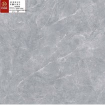 Gạch lát nền Prime 100x100 92009
