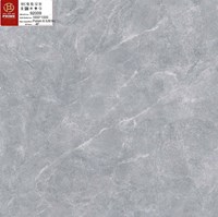 Gạch lát nền Prime 100x100 92009