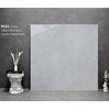 Gạch lát nền Tasa 120x120 9533
