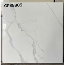 Gạch lát nền Taicera 80x80 GP88805