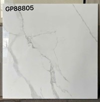 Gạch lát nền Taicera 80x80 GP88805