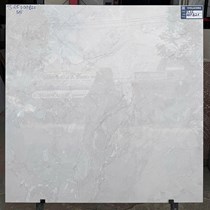 Gạch lát nền Viglacera 80x80 TS25 DGP821