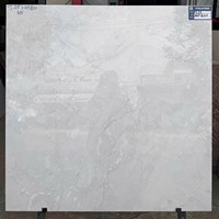 Gạch lát nền Viglacera 80x80 TS25 DGP821