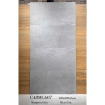 Gạch ốp tường Apodio 40x80 mờ C48MG607