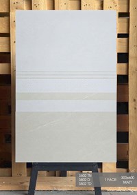 Gạch ốp tường giá rẻ 30x60 Hà Thanh mờ 3802