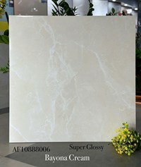 Gạch lát nền Apodio 80x80 AF10888006