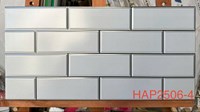 Gạch trang trí giá rẻ 25x50 HAP2506-4