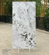 Gạch Tasa 90x180 bóng 9717