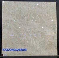 Gạch lát nền Đồng Tâm 100DONGVAN008