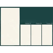 Gạch CMC 60x120 MPD61203