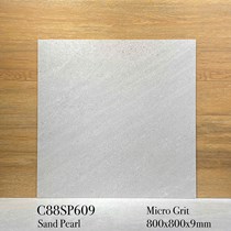 Gạch lát nền Apodio 80x80 mờ C88SP609