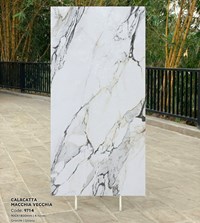 Gạch Tasa 90x180 bóng 9714