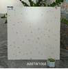 Gạch lát nền Apodio 80x80 mờ A88TW1068