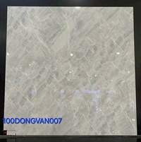 Gạch lát nền Đồng Tâm 100DONGVAN007