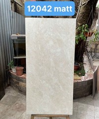 Gạch ốp lát Catalan 60x120 mờ 12042