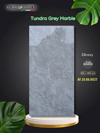 Gạch ốp lát Apodio 80x160 AF10868027