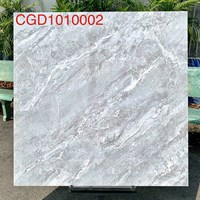 Gạch lát nền CMC 100x100 CGD1010002S2