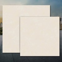 Gạch lát nền Tasa 120x120 9433