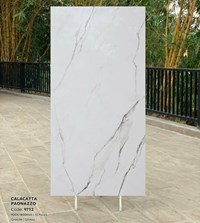 Gạch Tasa 90x180 bóng 9712