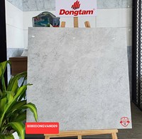Gạch Đồng Tâm 8080DONGVAN009