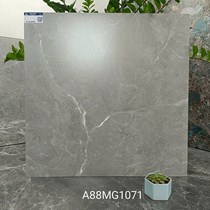 Gạch lát nền Apodio 80x80 mờ A88MG1071