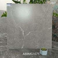 Gạch lát nền Apodio 80x80 mờ A88MG1071