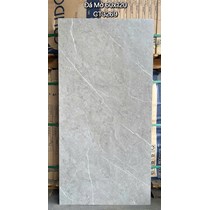 Gạch ốp lát Á Mỹ 60x120 mờ CT3269