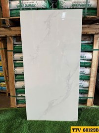 Gạch Ấn Độ 60x120 bóng TTV60123B