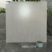 Gạch lát nền Apodio 80x80 mờ A88CL1074