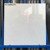 Gạch lát nền Việt Ý 80x80 FLY-G88021P1