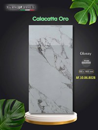 Gạch ốp lát Apodio 80x160 AF10868028