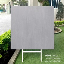 Gạch lát nền Tasa 100x100 mờ 9901