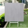 Gạch lát nền Tasa 100x100 mờ 9901