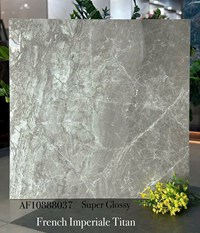 Gạch lát nền Apodio 80x80 AF10888037