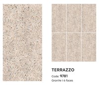 Gạch Tasa 90x180 mờ 9781