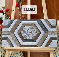 Gạch trang trí 3D Ấn Độ 30x60 3823BZ