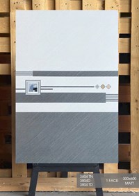 Gạch ốp tường giá rẻ 30x60 Hà Thanh mờ 3804