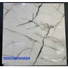 Gạch lát nền Đồng Tâm 100DONGVAN004