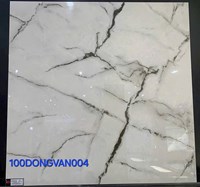 Gạch lát nền Đồng Tâm 100DONGVAN004