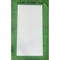 Gạch ốp lát Apodio 60x120 mờ 0801