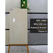 Gạch ốp lát Taicera 60x120 GPC 12903