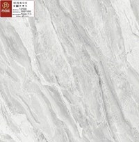 Gạch lát nền Prime 100x100 12100