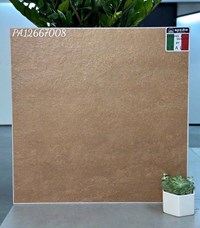 Đá lát sân vườn Apodio 60x60 PA12667008