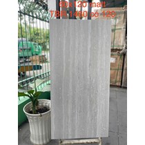 Gạch Tasa 60x120 Travertine mờ TBR 1480
