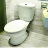 Bàn cầu 2 khối Thiên Thanh Queen B4429TS2T