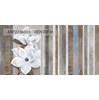 Bộ gạch Thạch Bàn 30x60 Cá Tính M003