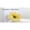 Bộ gạch Thạch Bàn 30x60 Duyên Dáng (Bóng)
