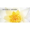 Bộ gạch Thạch Bàn 30x60 Duyên Dáng (Bóng)