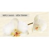 Bộ gạch Thạch Bàn 30x60 Tràng An-Artistic M005